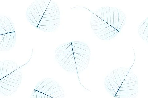 A repeating pattern of dried leaf skeletons. Stock Photos
