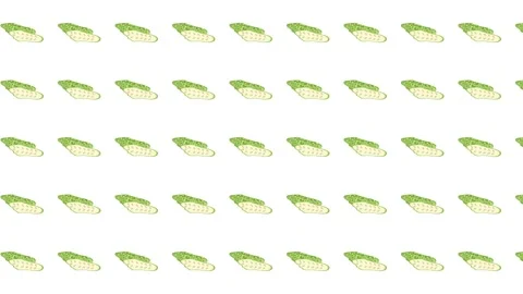 Repeating pattern of green endive heads on white Stock Footage 323363677