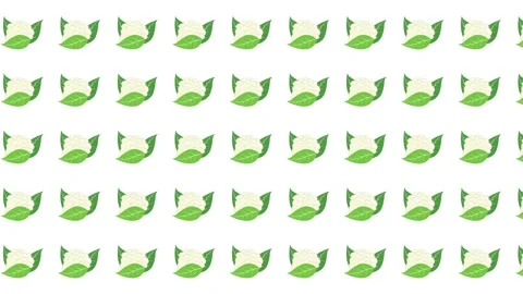Repeating pattern of white flowers and green leaves suitable for wallpaper Stock Footage 323363689