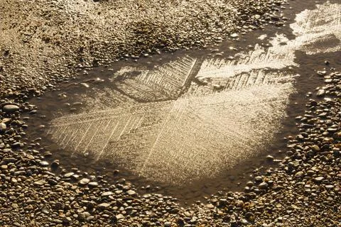 Repeating patterns formed in ice on a puddle, Norfolk, UK. Stock Photos