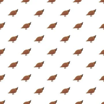 Repeating quail bird pattern illustration on white background Stock Illustration