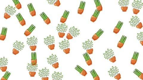 Repeating Seamless Pattern of Green Potted House Plants on a White Background Stock-Footage 345539487