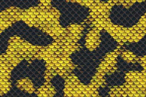 Repeating  snake skin  pattern 스톡 일러스트