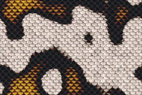 Repeating  snake skin  pattern 스톡 일러스트