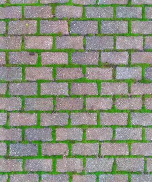 Repeating texture of bricks with moss Stock Photos