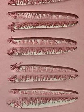 Repeating texture for wallpaper design, website, print, fabrics, wrapping p.. Stock Photos