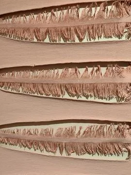 Repeating texture for wallpaper design, website, print, fabrics, wrapping p.. Stock Photos