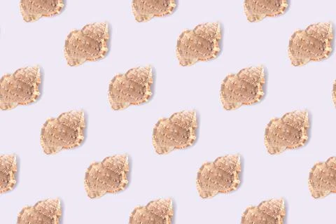 Repetitive pattern made from seashells. Creative layout. Summer concept. Foto stock