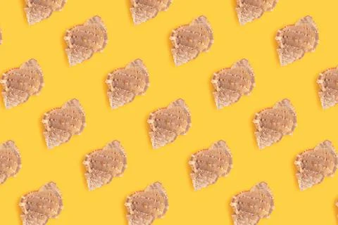 Repetitive pattern made from seashells. Creative layout. Summer concept. Stock Photos