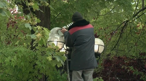 Replacement lamp street lights Stock Footage 68036514
