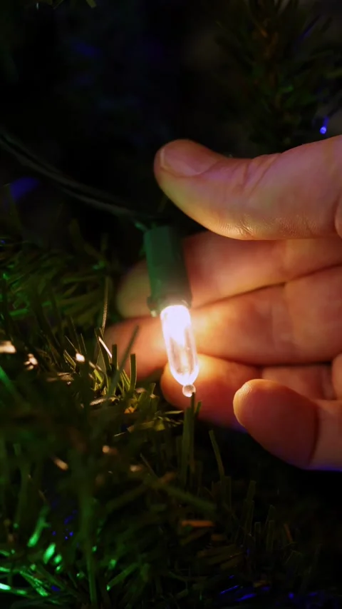 Replacing broken Christmas light - vertical Stock Footage 323246425