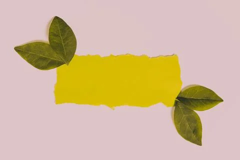 Replacing Old Wallpaper Design, Creating New Wall Pattern Layout, Academic Stock Photos