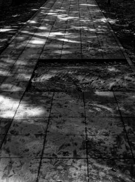 Replacing tiles on the path in the Park in the summer Stock Photos