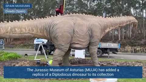 Replica of 18-meter-long Diplodocus dinosaur on display at Spain's MUJA, Oviedo, Stock Footage 304031463