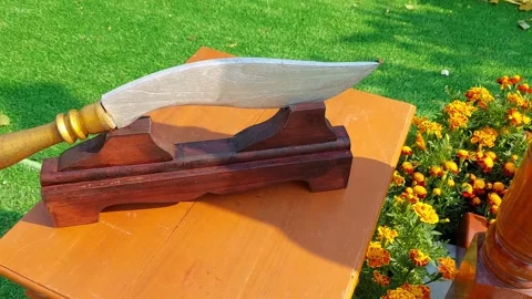 Replica dagger Stock Footage 276098575