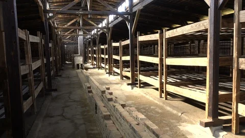 Replicated barracks of Auschwitz Birkenau concentration camp, steadicam Video stock 85872770