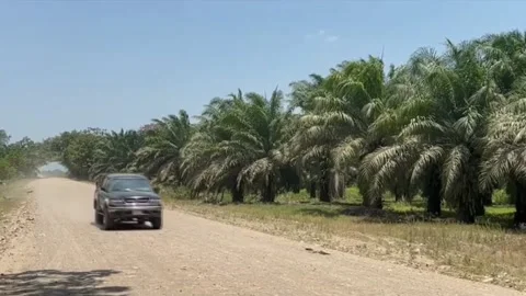 Report warns of 77 territorial conflicts in Honduras and a "punitive shift" by t Stock Footage 337645560