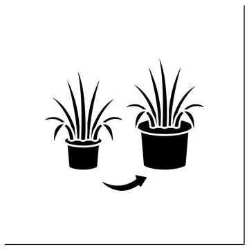 Repot glyph icon Stock Illustration