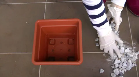 Repot a plant. 스톡 동영상 37183042