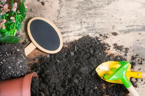 Repotting plants tools and a blank banner Stock Photos