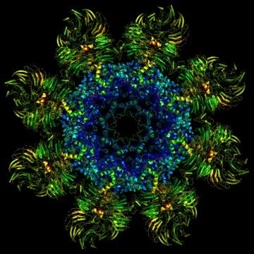 Representation of an apoptosome Illustrazione stock