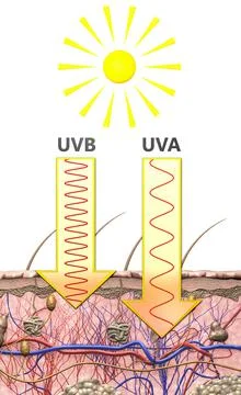  representation of the difference in wavelength of ultraviolet radiation Stock Illustration