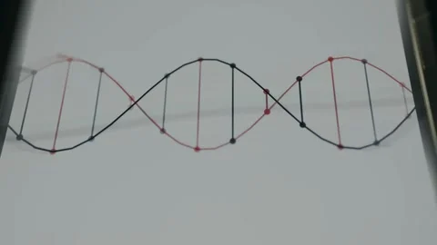 Representation of a DNA molecule structured as a double helix Stock Footage 335888949
