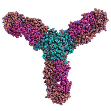 Representation of a trimeric Ebola virus glycoprotein in complex with a neutr Illustrazione stock