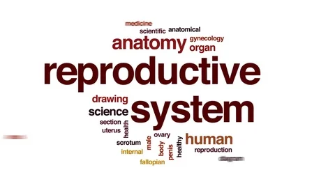 Reproductive system animated word cloud, text design animation. Stock Footage