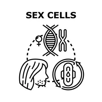 Reproductive system cells and dna health concept Stock Illustration