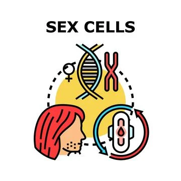 Reproductive system cells and dna health concept Stock Illustration