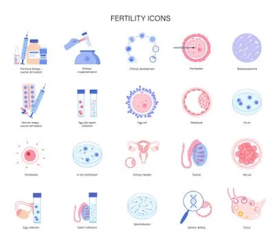 Reproductive system concept Stockillustratie