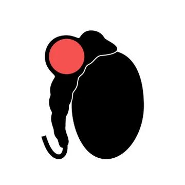 Reproductive system concept Stock Illustration