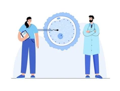 Reproductive system concept Stock Illustration