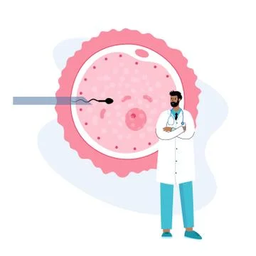 Reproductive system concept Stock Illustration