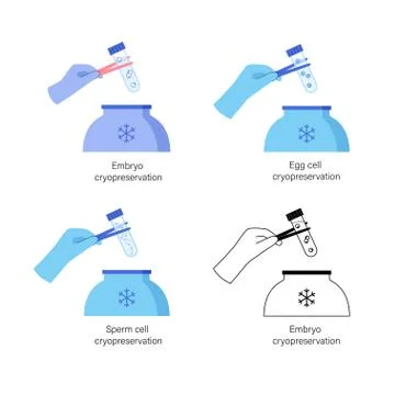 Reproductive system concept Stock Illustration