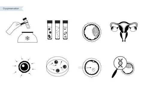 Reproductive system concept Stock Illustration