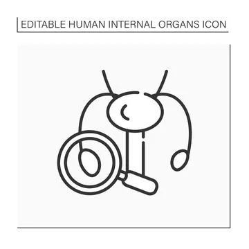 Reproductive system line icon Illustrazione stock