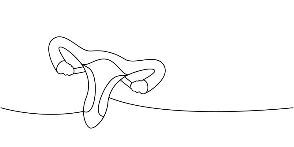 Reproductive system one line continuous drawing. Human internal organ continuous Stock Illustration