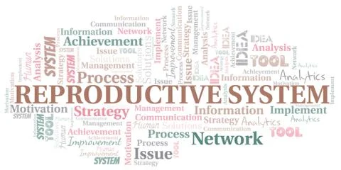 Reproductive System typography vector word cloud. Stock Illustration