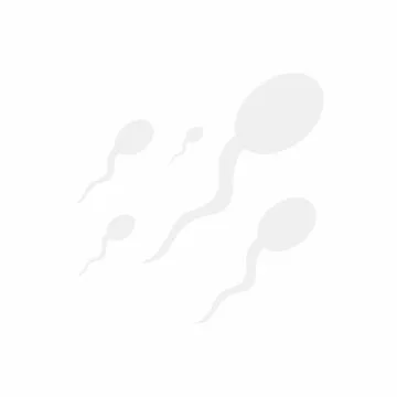 Reproductive system. Vector design isolated on white background. Stock Illustration