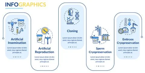 Reproductive technology vector infographic template. Embryology presentation Ilustración de archivo