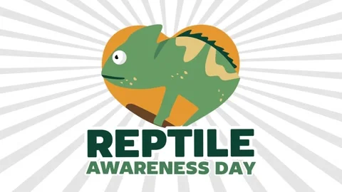 Reptile Awareness Day Stock Footage 306994002