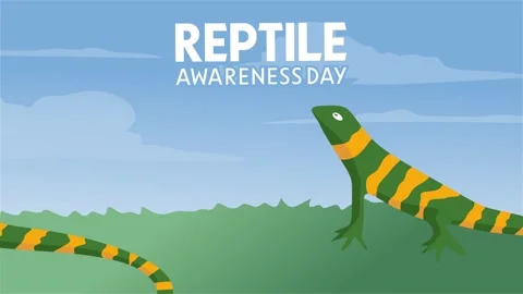 Reptile Awareness Day Stock Footage 306994024