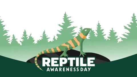 Reptile Awareness Day Stock Footage 306994027