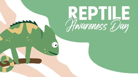 Reptile Awareness Day Stock Footage 306994037