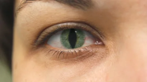 Reptile eye Stock Footage 8624235