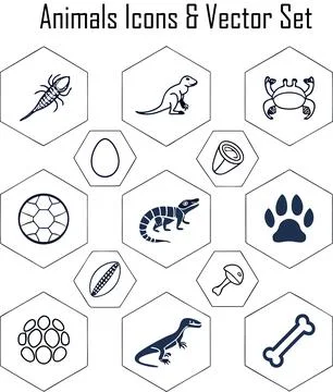 Reptile Icons &amp; Vector Set Stock Illustration