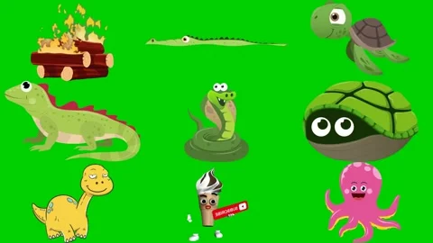 Reptile mix on green screen featuring treasure crocodile turtle iguana snake Stock Footage 334704352