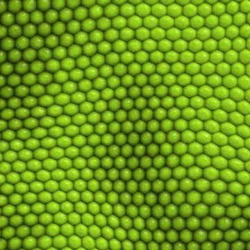 Reptile skin background Stock Illustration